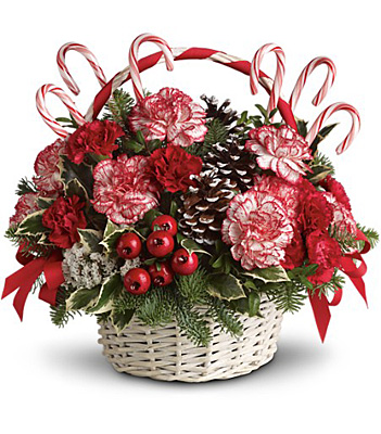T118-3 Candy Cane Christmas from Fabbrini's Flowers in Hoffman Estates, IL